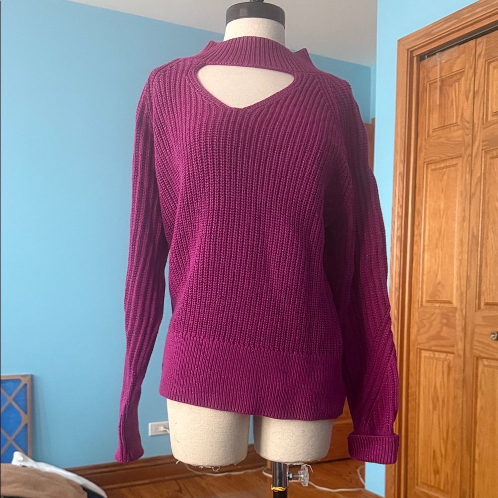 INC International Concepts Women's V-Neck Sweater in Rich Purple